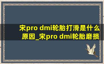 宋pro dmi轮胎打滑是什么原因_宋pro dmi轮胎磨损严重